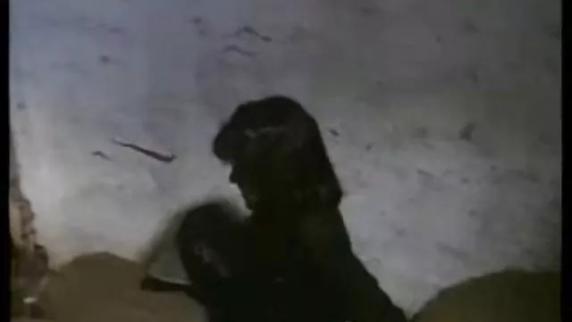 بهترین جوانان, رابطه جنسی بدون ثبت نام 21 ساله با موهای دانلود فیلمهای سکسی خارجی رایگان زائد, کیر, مهبل